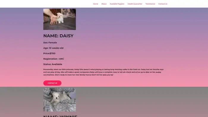 Screenshot of