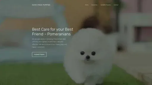 Screenshot of