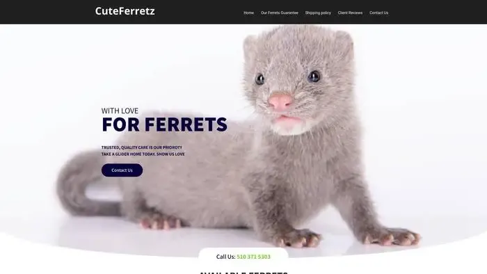 Screenshot of