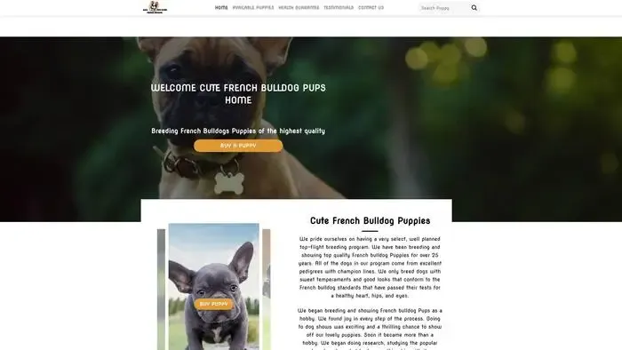 Screenshot of