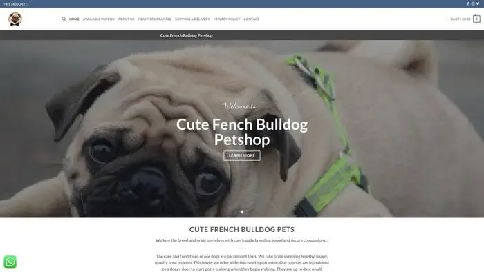Screenshot of