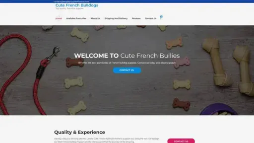 Screenshot of