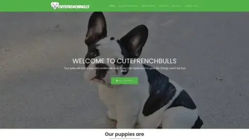 Screenshot of