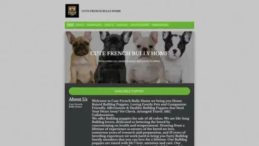 Screenshot of