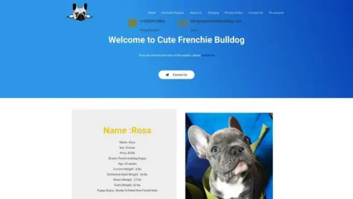 Screenshot of
