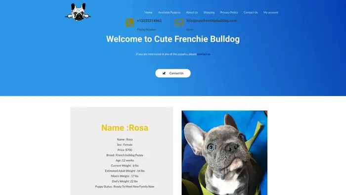 Screenshot of