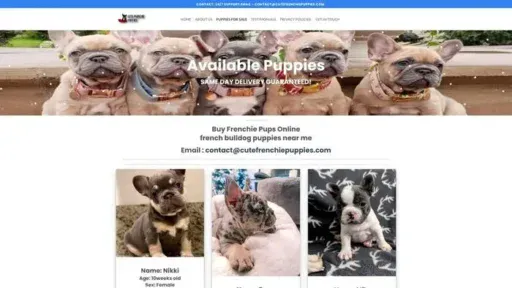 Screenshot of