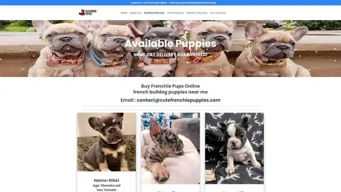 Screenshot of