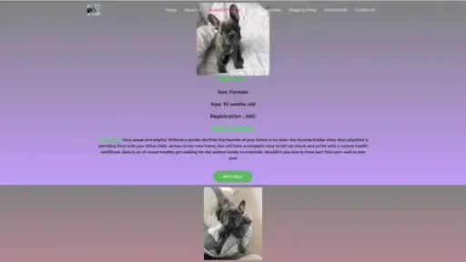 Screenshot of