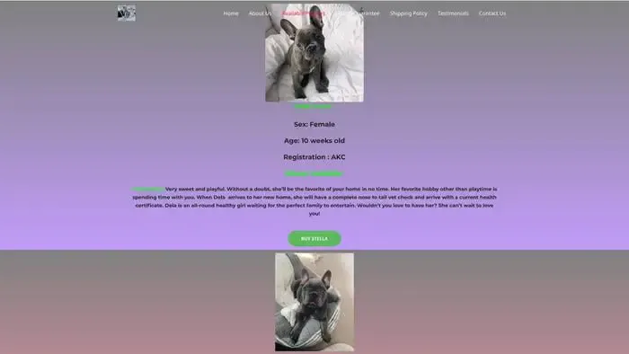 Screenshot of