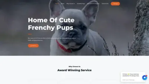 Screenshot of