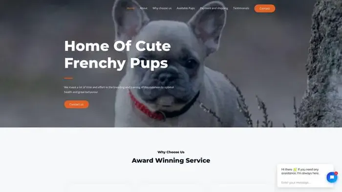 Screenshot of