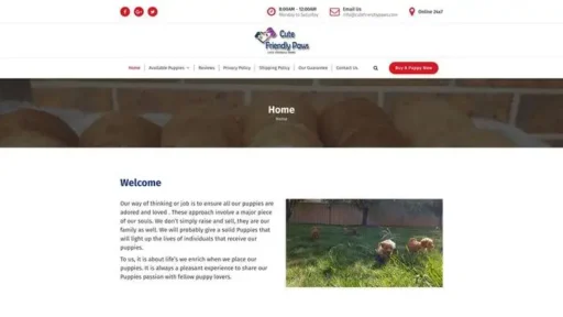 Screenshot of