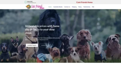 Screenshot of