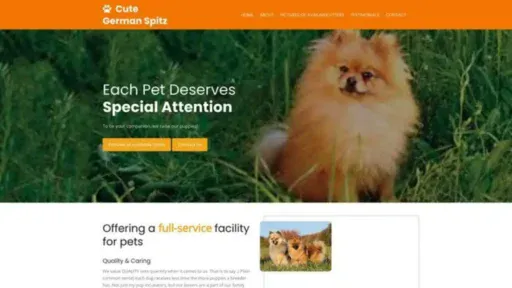Screenshot of||