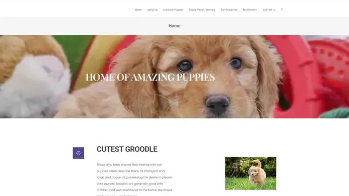 Screenshot of