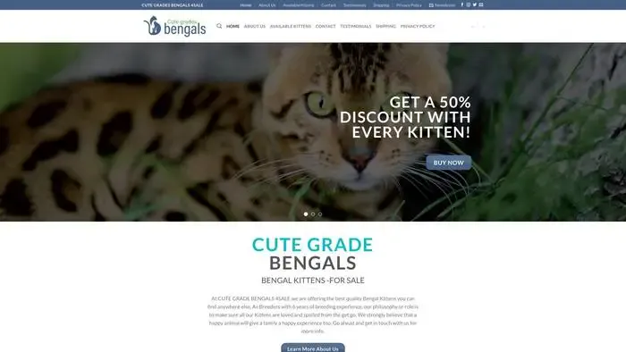 Screenshot of