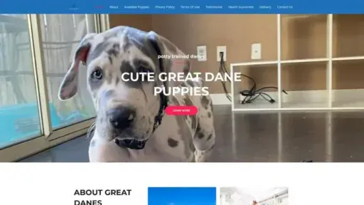 Screenshot of