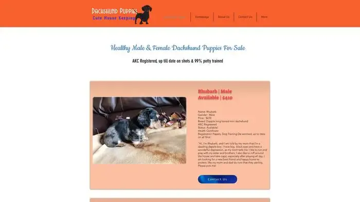 Screenshot of