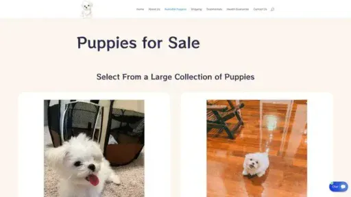 Screenshot of
