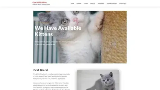 Screenshot of