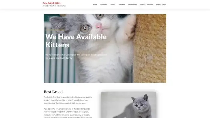 Screenshot of