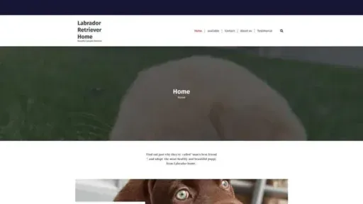Screenshot of