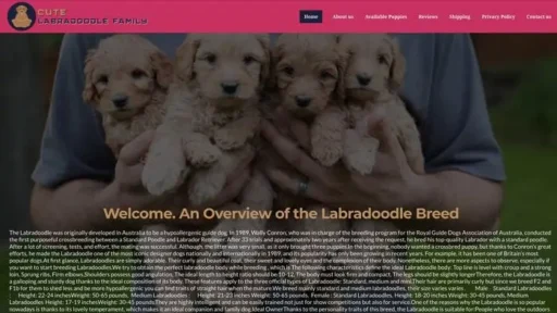Screenshot of