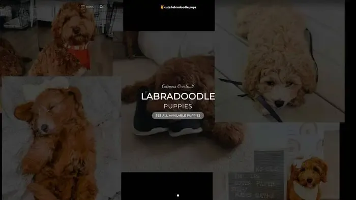 Screenshot of