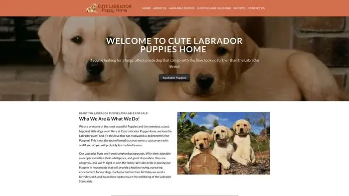 Screenshot of