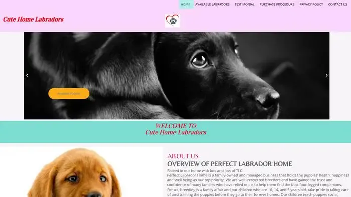 Screenshot of