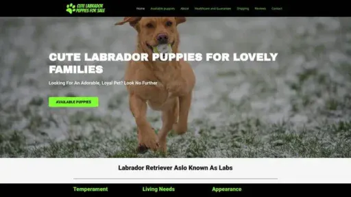 Screenshot of