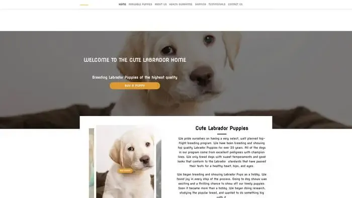 Screenshot of