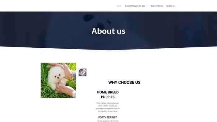 Screenshot of