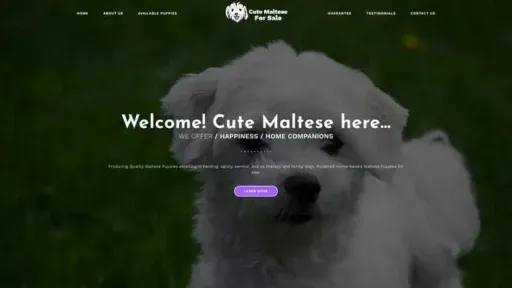 Screenshot of