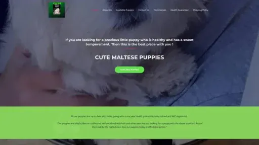 Screenshot of