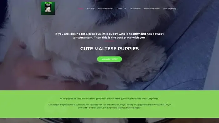 Screenshot of