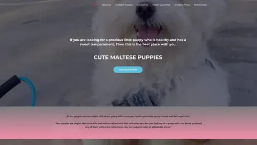 Screenshot of