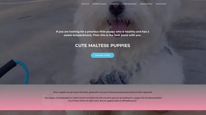 Screenshot of