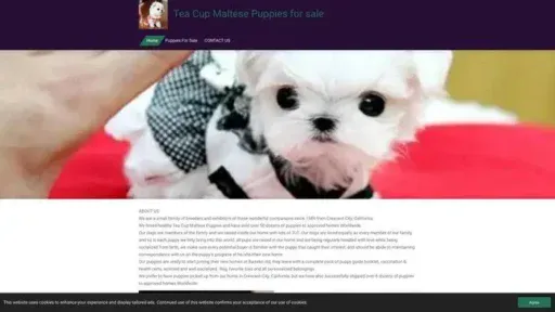 Screenshot of