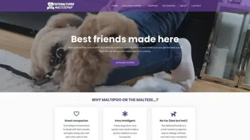 Screenshot of
