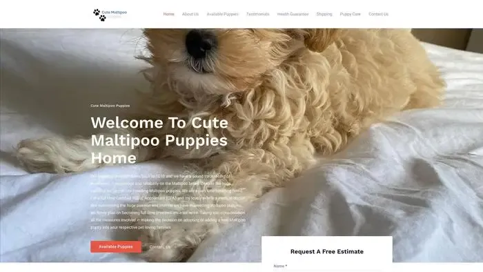 Screenshot of
