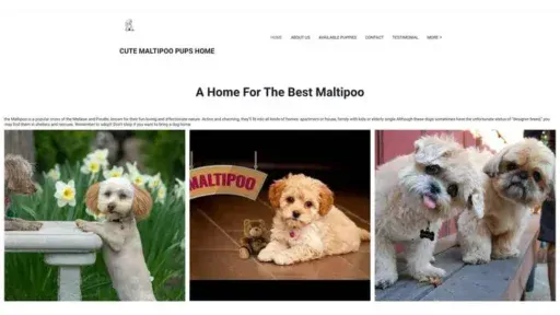 Screenshot of