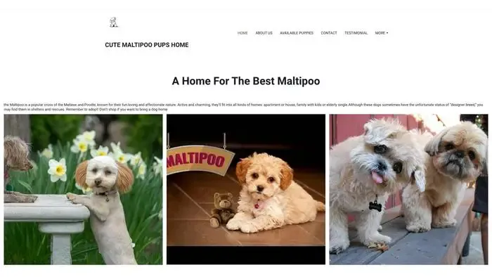 Screenshot of