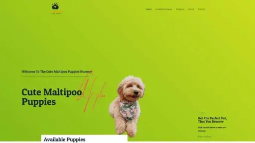 Screenshot of
