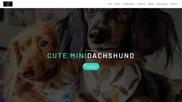 Screenshot of