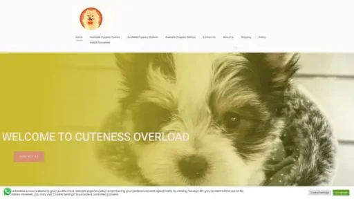Screenshot of