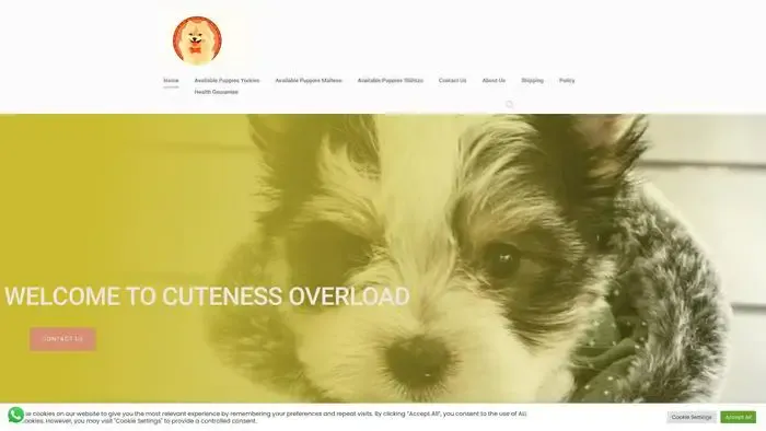 Screenshot of