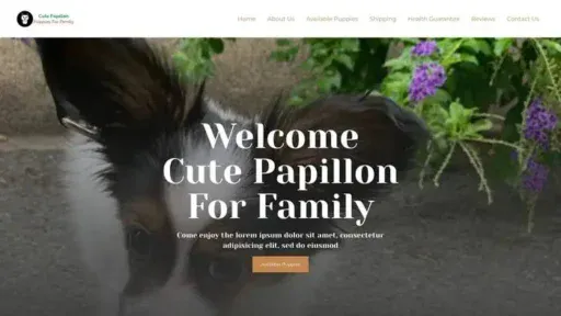 Screenshot of