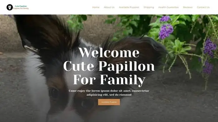 Screenshot of
